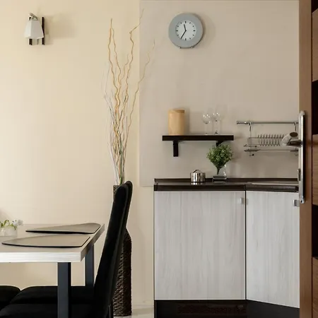 Apartament Tetmajera Apartzakop